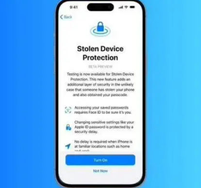 武宁苹果授权维修店分享被盗设备保护功能开启方法 