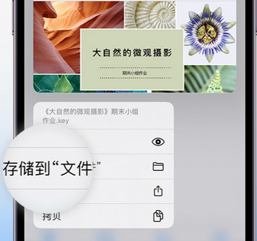 武宁apple维修中心分享iPhone文件应用中存储和找到下载文件