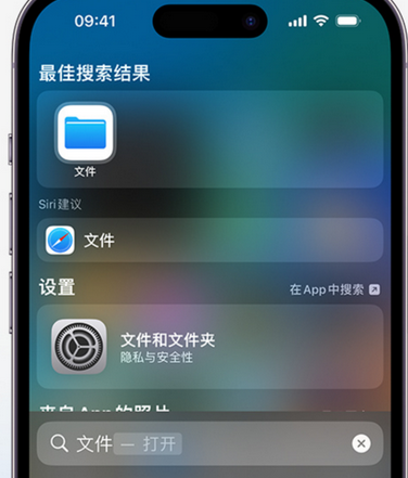 武宁apple维修中心分享iPhone文件应用中存储和找到下载文件 