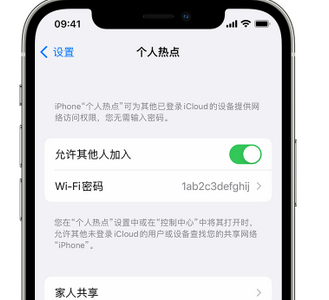 武宁apple服务站点分享iPhone上个人热点丢失了怎么办 