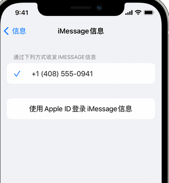 武宁apple维修iPhone上无法正常发送iMessage信息 