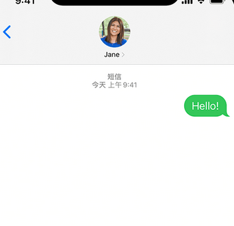 武宁apple维修iPhone上无法正常发送iMessage信息