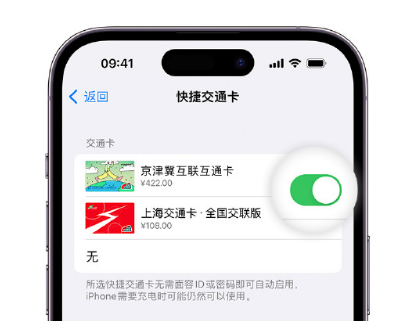 武宁apple维修点分享iPhone上更换Apple Pay快捷交通卡手绘卡面 