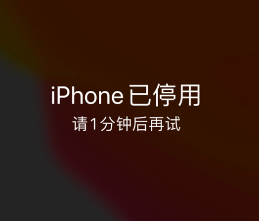 武宁苹果手机维修分享:iPhone 显示“不可用”或“已停用”怎么办？还能保留数据吗？ 