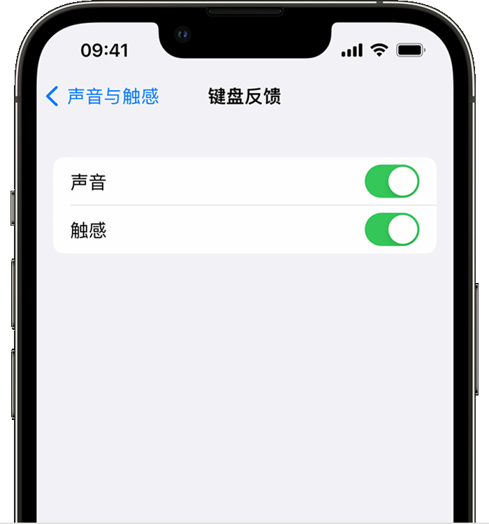 武宁苹果14维修店分享如何在 iPhone 14 机型中使用触感键盘 