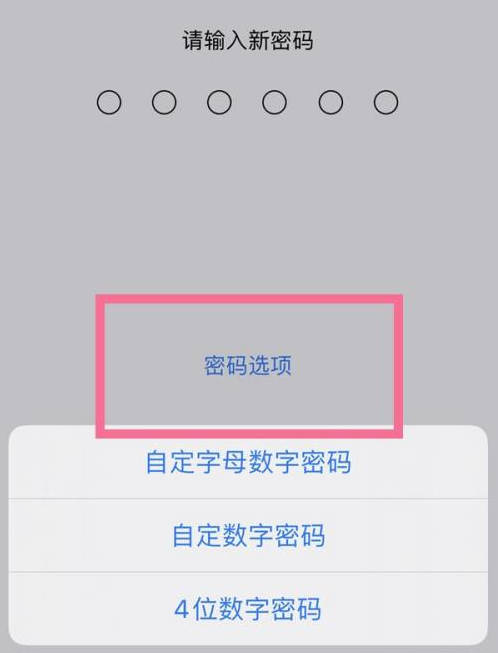 武宁苹果14维修分享iPhone 14plus设置密码的方法 