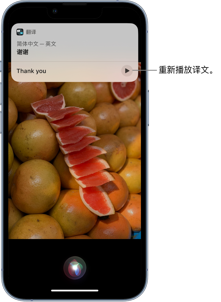 武宁苹果14维修分享 iPhone 14 机型中使用 Siri：了解 Siri 能帮你做什么 