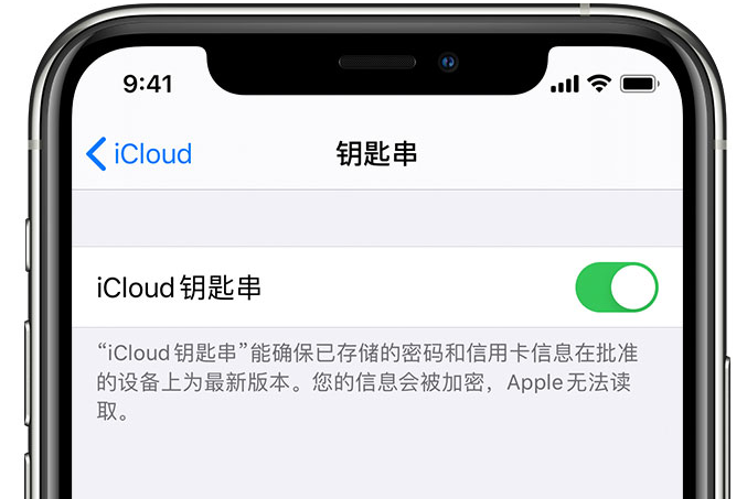 武宁苹果手机维修分享在 iPhone 上开启 iCloud 钥匙串之后会储存哪些信息 